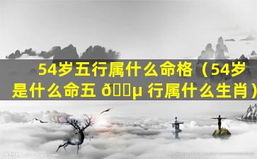 54岁五行属什么命格（54岁是什么命五 🌵 行属什么生肖）